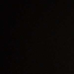 Meet your Posher, Gracie